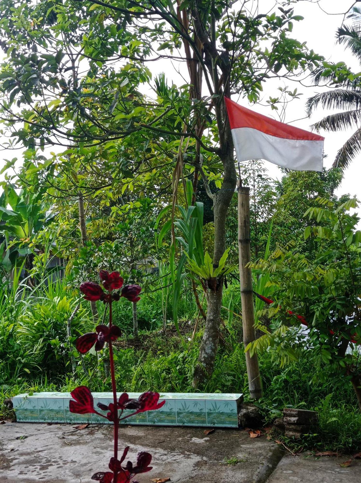 Eltari Homestay Tetebatu Habitación foto
