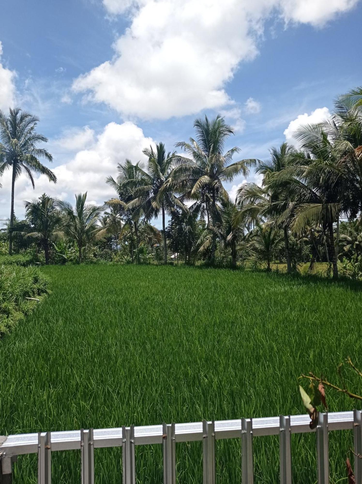 Eltari Homestay Tetebatu Exterior foto